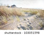 Dune Grass With Beach House In...