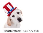 Patriotic Labrador retriever puppy dog isolated on white with copy space