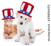 Patriotic Happy American Pet...