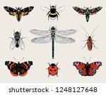 Insects Set Vector Hand Drawn...