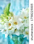 Small photo of Beautiful white flowers. Beautiful bouquet of spring flowers in a vase on the table. Lovely bunch of flowers.Pastel tonality.