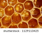 Yellow Honeycomb Closeup...