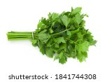 Leafy Celery Herb Isolated On...