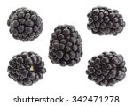 Blackberry Fruit Set Closeup...