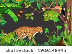 jungle wildlife illustration.... | Shutterstock .eps vector #1906548445