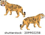 2 tigers | Shutterstock .eps vector #209902258