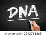 Small photo of DNA Deoxyribonucleic Acid - hereditary material in humans and almost all other organisms, acronym text on blackboard