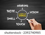 The 5 types of external stimuli - divided into our senses: touch, vision, smell and taste, mind map concept for presentations and reports