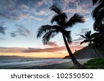 Palm Tree On Beach At Sunset....
