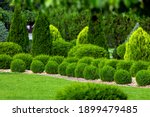 spring green plants green grass with cut bushes shape design sprinkled with natural stone mulching in a park with plants on a summer day.