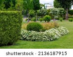 landscaping of a park a garden bed with foliage flower and deciduous trees with leaves on a green turf lawn, evergreen thuja hedge and seasonal plants in the backyard meadow.