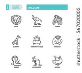 flat symbols about wildlife.... | Shutterstock .eps vector #567020002