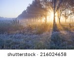 Beautiful sunrise with frost