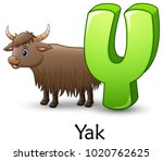 Letter Y Is For Yak Cartoon...