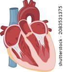 calcified aortic disease aortic ... | Shutterstock .eps vector #2083531375