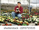 Small photo of Smiling woman employee of large greenhouse checks young primrose shoots. Growing hardened plants, sending plants to customer on day of registration. small and large wholesale