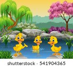 Cute Ducks Swimming On The Pond