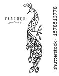 Peacock Collection  Ethnic...