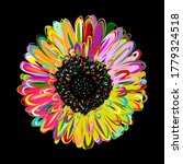 Multicolored Daisy  Chamomile...
