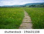 Path Through The Meadows