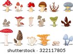 Different Kinds Of Mushrooms