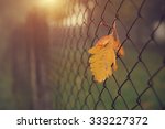 Yellow Autumn Leaf On Fence A...