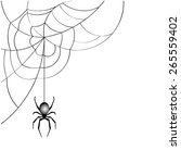 spider web  vector  | Shutterstock .eps vector #265559402