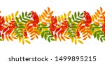 bright colourful rowan berries... | Shutterstock .eps vector #1499895215