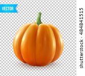 Realistic Vector Pumpkin...