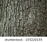 Huge Oak Bark As Background ...