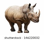 huge rhino isolated on white