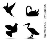 collection of bird species on... | Shutterstock .eps vector #394380805