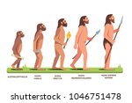Human Evolution Stages ...