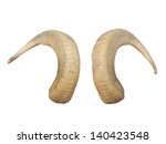 Animal Big horns