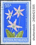 Small photo of Romania - circa 1979 : Cancelled postage stamp printed by Romania, that shows Dog's Tooth Violet (Erythronium dens-canis), circa 1979.