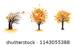 fall trees set | Shutterstock .eps vector #1143055388