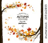 Fall Background With Leaves....