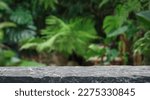 Small photo of Stone podium table top floor on outdoors blur monstera tropical forest plant nature background.Organic healthy natural product placement pedestal display,spring or summer jungle concept.