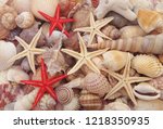 Seashells And Many Starfishes...