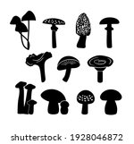 Set Of Various Mushrooms....