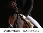 Small photo of Dressage horse with rider in LowKey technique, close-up of the horse's head in the eye cutout, but you can still see a section of the rider in the focus. Right side still space for text.