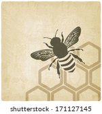 Bee Old Background   Vector...