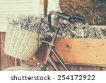 Vintage Bicycle With Flower  ...