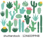 Mexican Cactus And Aloe. Desert ...