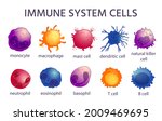 immune system cell types.... | Shutterstock .eps vector #2009469695