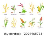 cartoon farm cereal crops and... | Shutterstock .eps vector #2024465735