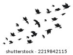 Flock Of Crows. Flying Black...