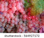 Rose Wine Grapes With Green...
