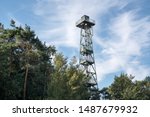 Fire Lookout Tower In The...