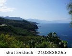 coastal landscape of the Jijel corniche in Algeria with cacti in the foreground, with the green mountain on one side and the blue sea on the other.